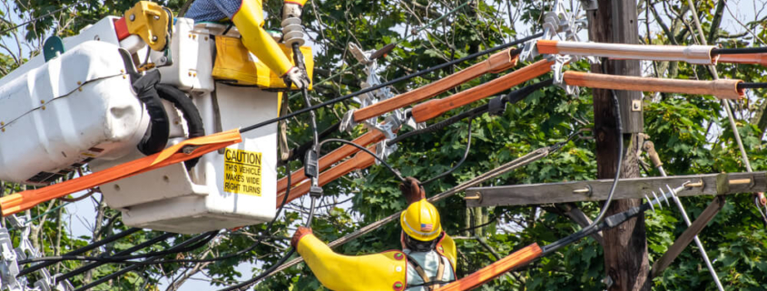 Protecting Workers from Falling Tree Limbs